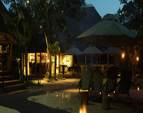 Tembe Elephant Park & Lodge